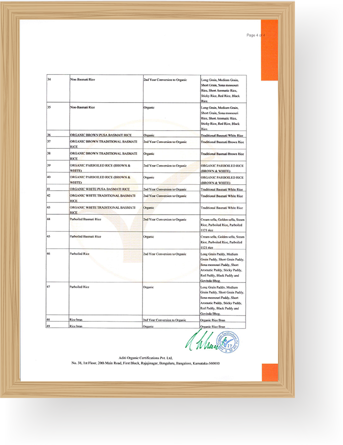 Jasmer | Evolving Responsibly