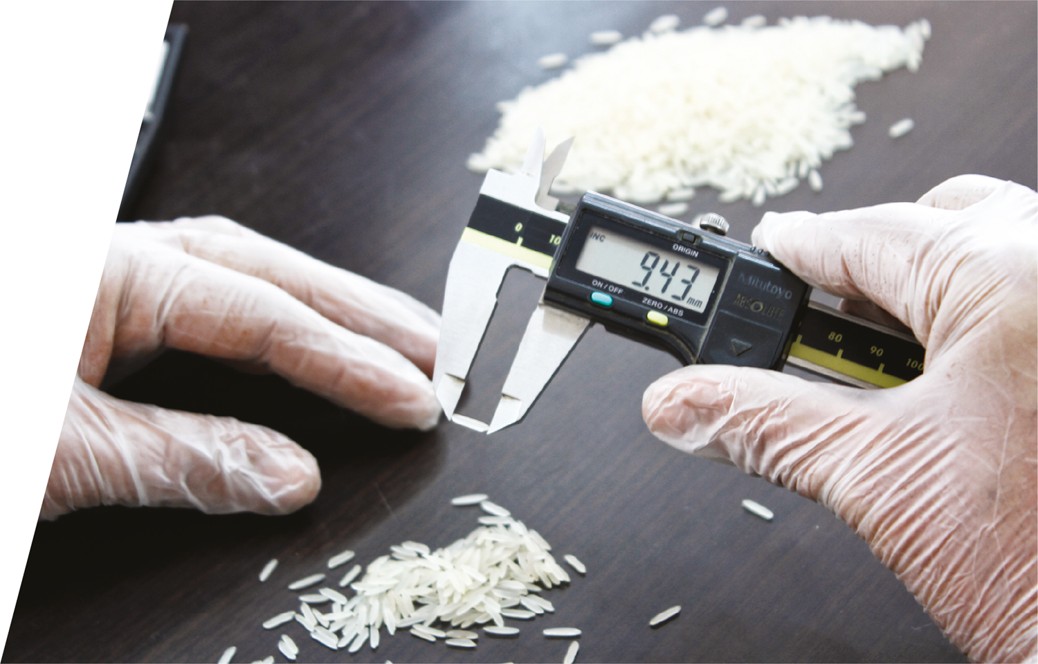 Jasmer | Evolving Responsibly