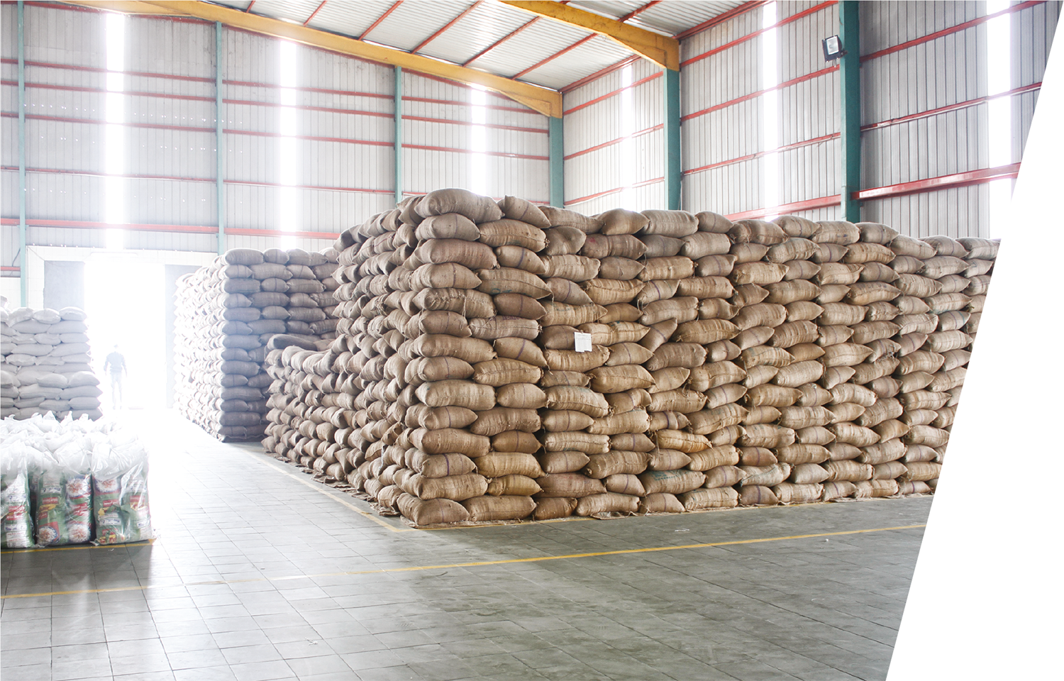 Jasmer | Evolving Responsibly